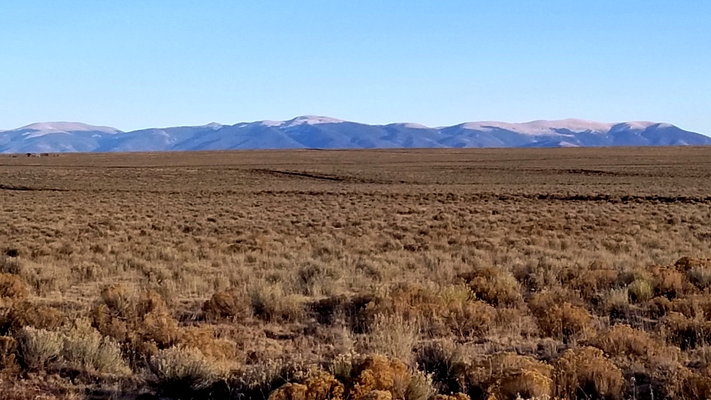 5Acre Parcel in Rio Grande Ranches Liberty Land Sales